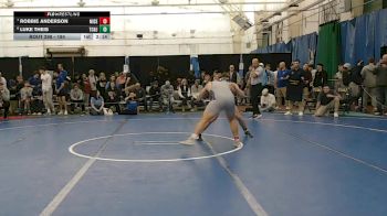 184 lbs Cons. Round 5 - Robbie Anderson, Misericordia vs Luke Theis, Tcnj