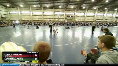 65 lbs Cons. Round 3 - Connor Halligan, Top Of Utah vs Channing Clawson, Zion Thunder Wrestling Club