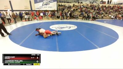 125 lbs Champ. Round 2 - Cameron Phillips, North Central College vs James Day, Wabash