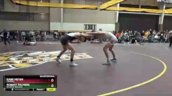 141 lbs Quarterfinal - Robert Palmieri, Baldwin Wallace vs Gabe Meyer, Lourdes