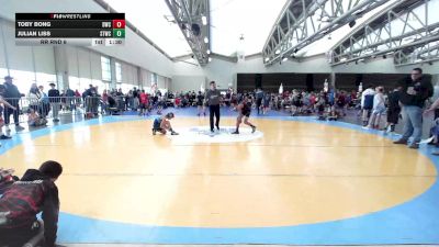 85 lbs Rr Rnd 6 - Toby Bong, DoughBoys ES vs Julian Liss, Shore Thing Sharks