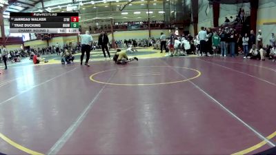 113 lbs Champ. Round 3 - Trae Ducking, Brownsburg vs Jarreau Walker, Streetsboro