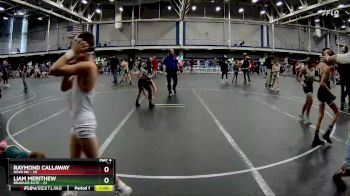 76 lbs Round 9 (10 Team) - Liam Merithew, Brawler Elite vs Raymond Callaway, NOVA WC