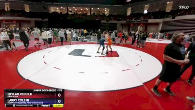175 lbs Quarterfinal - Skylar Red Elk, Oklahoma vs Larry Cole Iii, Norman Freestyle And Greco Club