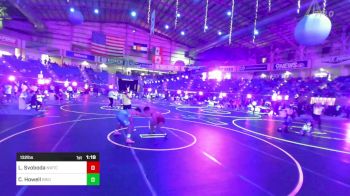 132 lbs Round Of 64 - Logan Svoboda, Nwtc vs Cooper Howell, Brighton WC