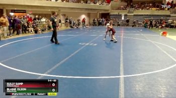 65 lbs Semifinal - Blaine Olson, Princeton vs Sully Samp, Fergus Falls