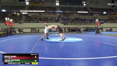 174 lbs 3rd Place Match - Bryce Dagel, St. Cloud St. vs Drake Hayward, Minnesota St.