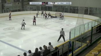 Replay: Home - 2024 Cougars U18 AAA vs EastmanU18 AAA | Dec 1 @ 1 PM