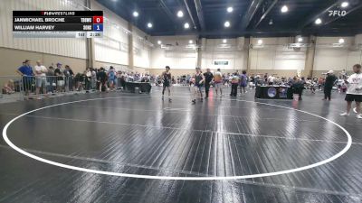 126 lbs Semifinal - Janmichael Broche, Team Blue Steel Wrestling Club vs William Harvey, Sons Of Thunder, FL