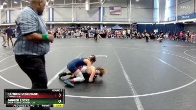 96 lbs Round 2 (4 Team) - Camron Veneziano, CTWHALE vs Jagger Locke, Ragin Raisins Catawba