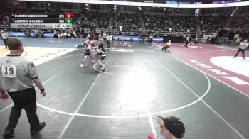 II-103 lbs Champ. Round 2 - Andrew Dolson, Shoreham Wading River vs Parker Menechino, Mount Sinai