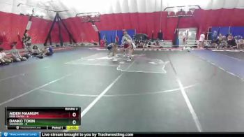 113 lbs Round 3 (4 Team) - Aiden Maanum, Park Rapids vs Danko Tokin, Woodbury