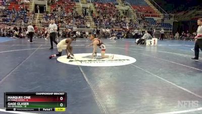 133 lbs Quarterfinal - Marques Cine, E2-Fargo Davies vs Gage Glaser, W3-Dickinson