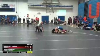 141 lbs Quarterfinal - Anthony Urrea, Dubuque vs Reilly Dolan, Cornell College