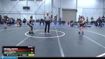 68 lbs Round 3 (4 Team) - Parker Full, Mat Assassins vs Mario Demarco, Lake Catholic