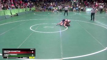 106 lbs Quarterfinal - Peyton Schoettle, Roncalli vs Carlo Federici, Carmel