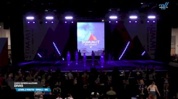 Cheer Express Allstars - Divas [2025 L2 Youth - Small - WC Day 2] 2025 The Youth Summit