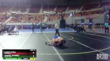 D2-113 lbs Quarterfinal - Gabriel Ramirez, Canyon View vs Caden Leyba, Centennial