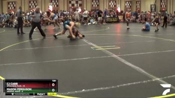 130 lbs Semis & 1st Wrestleback (8 Team) - CJ Carr, Wyalusing Plus vs Mason Ferguson, Arsenal White