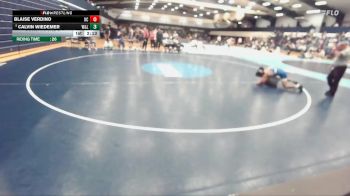 133 lbs Cons. Round 5 - Blaise Verdino, Ursinus vs Calvin Wiedemer, Washington And Lee