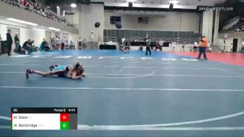 85 lbs Quarterfinals (8 Team) - Maggie Olson, Albert Lea vs William Bainbridge, Hastings