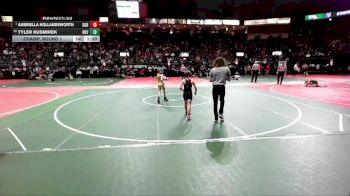 68 lbs Champ. Round 1 - Aubriella Hollandsworth, GGBA vs Tyler Kusmirek, BKV1