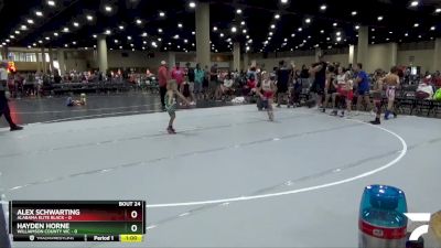 45 lbs Semis & 3rd Wb (16 Team) - Hayden Horne, Williamson County WC vs Alex Schwarting, Alabama Elite Black