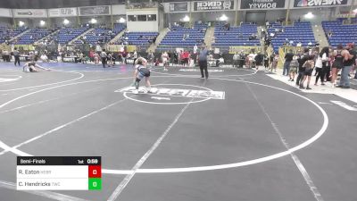 123 lbs Semifinal - Reagan Eaton, Nebraska Wr Ac vs Catherine Hendricks, Twc Wc