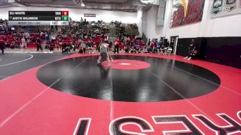 157 lbs 11th Place Match - Aidyn Wilemon, Mountain Vista vs Eli White, ThunderRidge