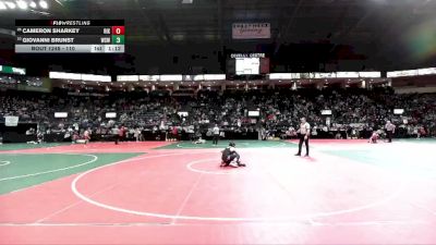 110 lbs Champ. Round 2 - Cameron Sharkey, RIKA vs Giovanni Brunst, WSW1
