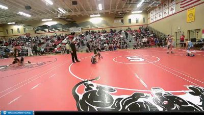 65 lbs Round 1 - Liberty Owen, Ferndale Force Wrestling Club vs Sophia Rodriguez, Victory Wrestling-Central WA