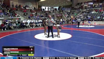 6A 120 lbs Semifinal - Aniyah Dinwiddie, Jonesboro vs Kalani Horiuchi, Springdale