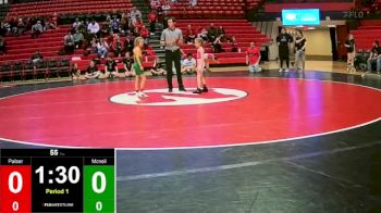 65 lbs Finals (8 Team) - Conner Wolf, District 3 vs Skylar Neisus, District 8