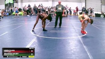 125 lbs Cons. Round 3 - Brandon Halsey, Roseville Pontiac vs Aiden Slama, Unattached