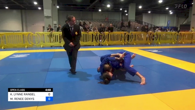 MEGAN RENEE DENYS vs KATHERINE LYNNE RANGEL 2024 American National ...