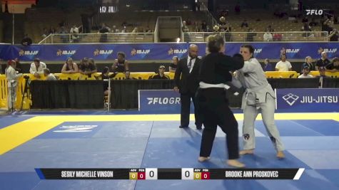 Brooke Ann Proskovec vs Sesily Michelle Vinson 2026 Pan Jiu Jitsu IBJJF Championship