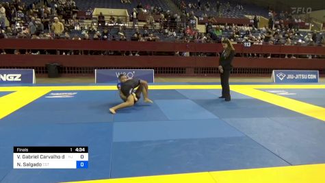 Victor Gabriel Carvalho Da Costa vs Nathan Salgado 2024 Pan IBJJF Jiu-Jitsu No-Gi Championship