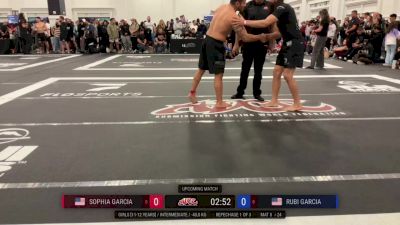Danny Martinez vs Eric Ceballos 2025 ADCC San Diego Open