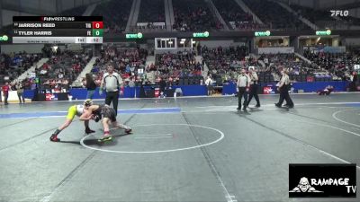 100 lbs Cons. Semi - Tyler Harris, Falcon Empire vs Jarrison Reed, Tiger