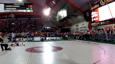 4A 98 lbs Cons. Semi - Colton D`Avanzo, Timberlake vs Tason Banta, Sugar-Salem