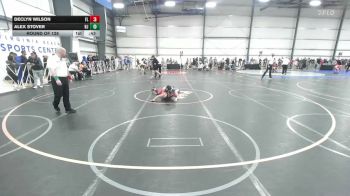 119 lbs Round Of 128 - Declyn Wilson, FL vs Alex Stover, NJ