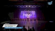 Pivot Performance Arts - Tiny Dancer [2025 Mini - Contemporary/Lyrical - Large Day 2] 2025 Power Dance Grand Nationals