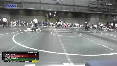 140 lbs Quarterfinal - Trey Cheek, South Central Punishers vs Jacob Downs, Derby