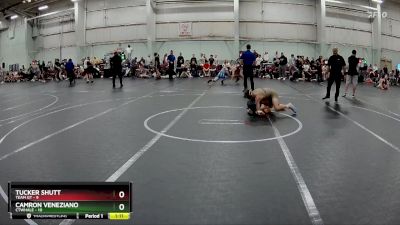 88 lbs Round 5 (8 Team) - Camron Veneziano, CTWHALE vs Tucker Shutt, Team GT