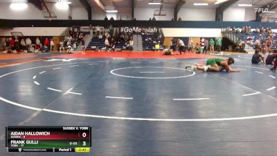 165 lbs Finals (2 Team) - Frank Gulli, York vs Aidan Hallowich, Sussex