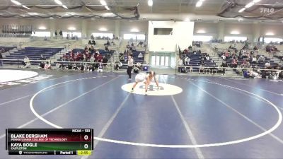 133 lbs Cons. Semi - Kaya Bogle, Castleton vs Blake Dergham, Pennsylvania College Of Technology