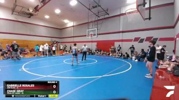 110 lbs Round 4 (6 Team) - Chase Gray, Team St. Louis vs Gabrielle Rosales, 208 Elite