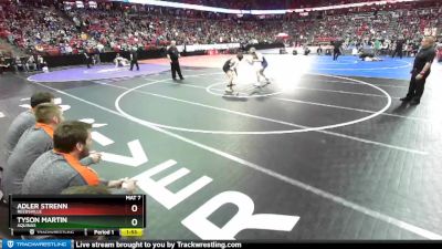 D3-195 lbs Semifinal - Adler Strenn, Reedsville vs Tyson Martin, Aquinas