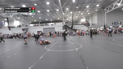 165 lbs Semis & 1st Wrestleback (8 Team) - Tyler Whartnaby, Palm City Thundercats vs Peter Mikedis, Este Built Prime