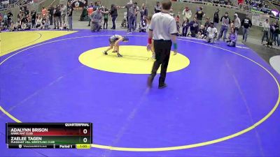 45 lbs Quarterfinal - Zaelee Tagen, Pleasant Hill Wrestling Club vs Adalynn Brison, Hawk Mat Club